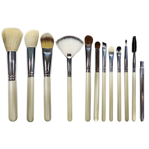 professional 12 pieces makeup brush set