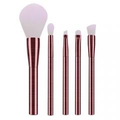 Newest 5pcs makeup brush set with aluminum handle,super soft synthetic hair