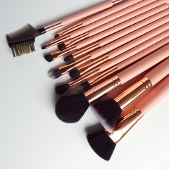 13pieces makeup brushes set for women