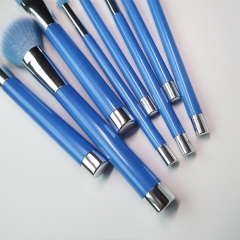 Makeup Brushes,8PCS Professional Beauty Premium Synthetic Foundation Powder Makeup Brushes Sets,blue handle
