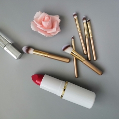 Premium 6 pcs cosmetic brush powder blush contour brow brush eyeshadow with white lipstic holder