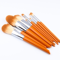 10 Pcs Premium Synthetic Makeup Brush Set, Wooden Handle in Fashional Color with Great Touch
